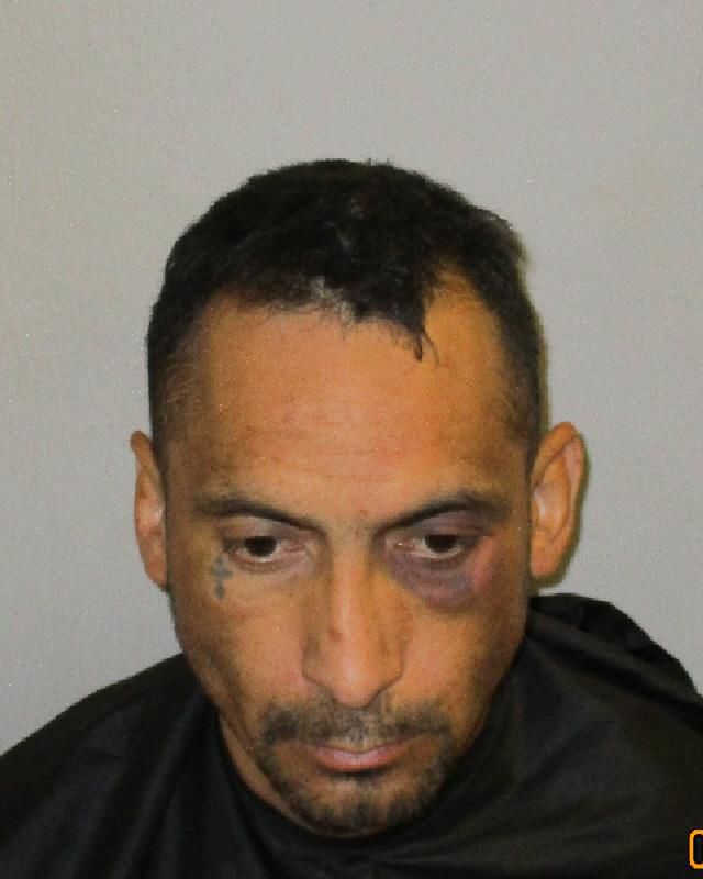 Mug shots 2019